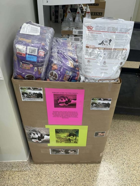 Food donation bin overflowing with bags of cat food.